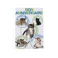 Bon Anniversaire avec chatons