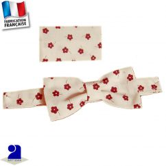 http://www.bambinweb.com/5719-16280-thickbox/noeud-papillonpochette-0-mois-16-ans-made-in-france.jpg